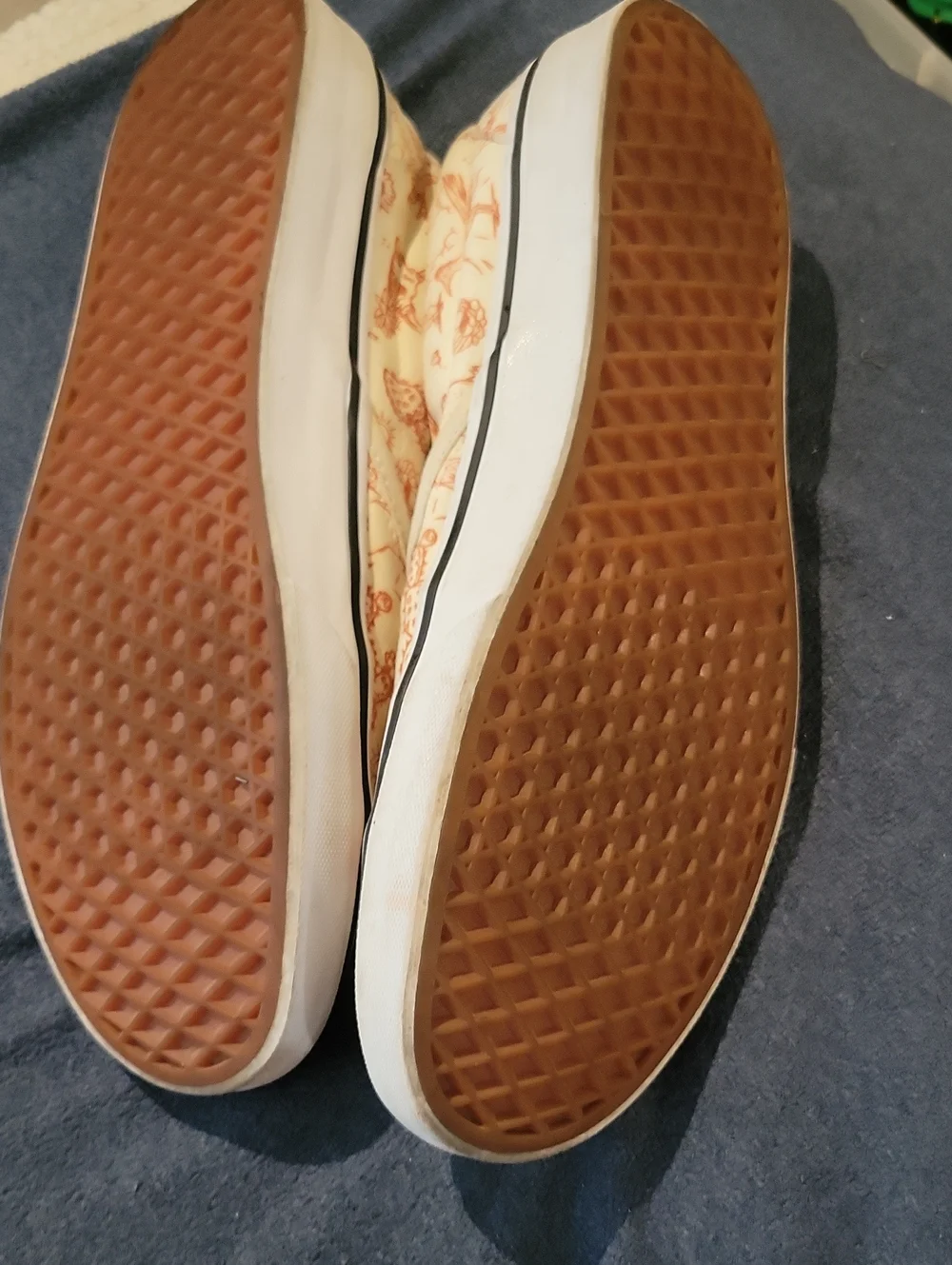 Vans Desert Vibes Slipon Sneakers Mens 13